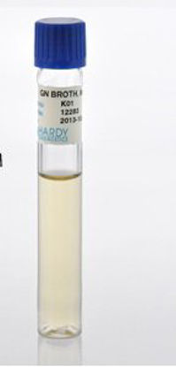 Picture of Prepared Media Gram Negative (GN) Broth Clear / Amber Tube FormatK01