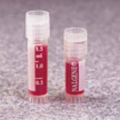 Picture of Cryogenic Vial Nalgene™ Polypropylene 2 mL Screw Cap033377W