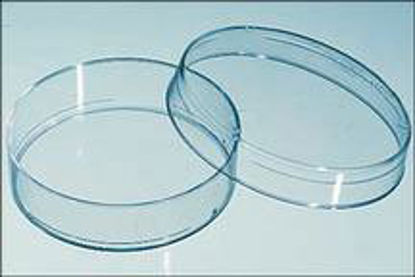 Picture of Petri Dish BD Falcon™ Polystyrene08757100D