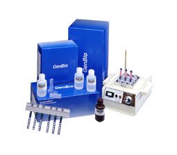 Picture of ImmunoDOT Method Assay Control Autoimmunity Positive Level800-3918