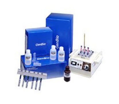 Picture of ImmunoDOT Method Assay Control Autoimmunity Positive Level800-3918