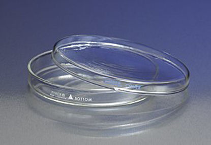 Picture of Petri Dish Pyrex™ Borosilicate Glass08747C