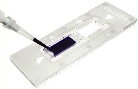 Picture of Disposable C-Chip For HemocytometerNC0435502