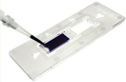 Picture of Disposable C-Chip For HemocytometerNC0435502