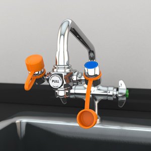 Picture of Eyewash Station Guardian EyeSafe™ Faucet Mount19050632