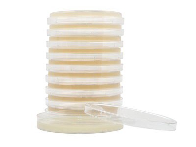 Picture of Prepared Media HardyCHROM™ Chromogenic Agar Urinary Tract Infections (UTI) Petri Plate FormatG313