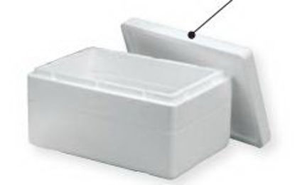 Picture of Insulated Shipper ThermoSafe® 5-7/8 X 7 X 8 Inch For Safe Storage and Delivery of Refrigerated or Frozen Materials (Pharmaceuticals, Laboratory Specimens, Serums, Vaccines, Human Organs, Culture Packs, Nuclear and Isotope Materials)411