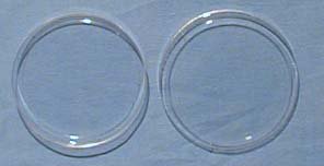 Picture of Petri Dish17240/48