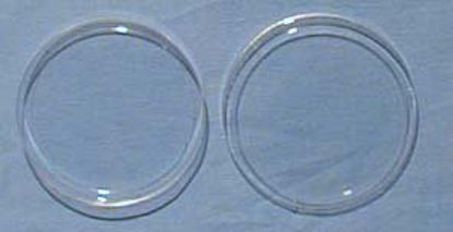 Picture of Petri Dish17240/48