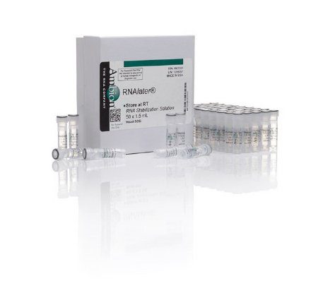 Picture of Molecular Biology Reagent Invitrogen™ RNAlater™ RNA Stabilizing Solution RNA Preparation / Purification 30 to 60% 50 X 1.5 mLAM7022