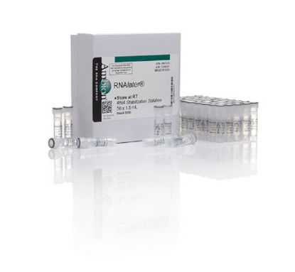 Picture of Molecular Biology Reagent Invitrogen™ RNAlater™ RNA Stabilizing Solution RNA Preparation / Purification 30 to 60% 50 X 1.5 mLAM7022