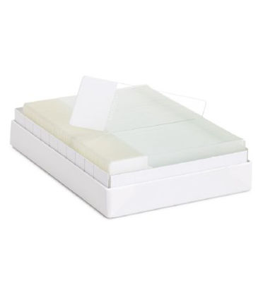 Picture of Adhesion Microscope Slide Millennia™ 1000 25 X 75 X 1 mm PinkM1000P