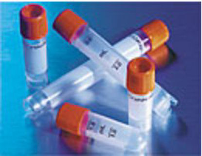 Picture of Cryogenic Vial Corning® Externally Threaded Polypropylene 4 mL Screw Cap0976173