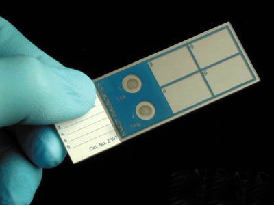 Picture of SLIDE, CONTROL Q-SLIDE GRAM QCPRE-INOCULATED (5/BX)Z302