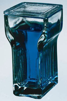 Picture of Staining Jar Fisherbrand™ Glass 16 Slide Capacity08817