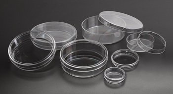 Picture of Petri Dish PolystyreneD210-13