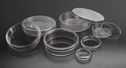 Picture of Petri Dish PolystyreneD210-13