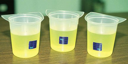 Picture of Temperature Indicator Temptrend® Fahrenheit 87° to 103°F Adhesive Temperature Sensor Specimen Container Mount Does Not Require Power22246191