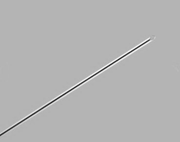 Picture of Biopsy Needle EchoTip® 25 Gauge 5 cm Length Echogenic TipG12816