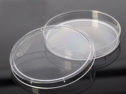 Picture of Petri Dish Hardy™3536
