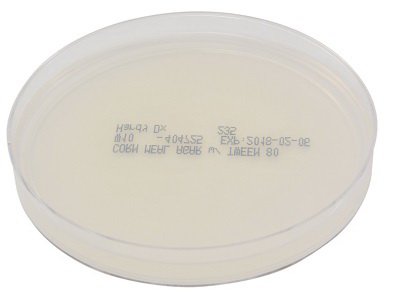 Picture of Prepared Media Corn Meal Agar with Tween® 80 Deep Fill Plate FormatW10