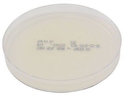 Picture of Prepared Media Corn Meal Agar with Tween® 80 Deep Fill Plate FormatW10
