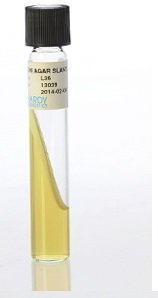 Picture of Prepared Media Brain Heart Infusion (BHI) Agar Slant Tube FormatL36