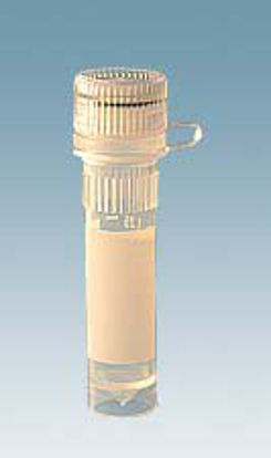 Picture of Microcentrifuge Tube Conical Bottom, Skirted Plain 10.8 X 46 mm 2 mL Without Color Coding Screw Cap Polypropylene Tube72.694.106