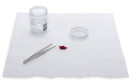 Picture of Formalin Neutralizing Pad 13 X 13 Inch, 2.05 lbs. Weight5162