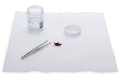 Picture of Formalin Neutralizing Pad 13 X 13 Inch, 2.05 lbs. Weight5162