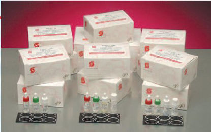 Picture of Rapid Test Kit RPR Quicktest RPR Card Test Syphilis Screen Serum / Plasma Sample 100 Tests1170-100