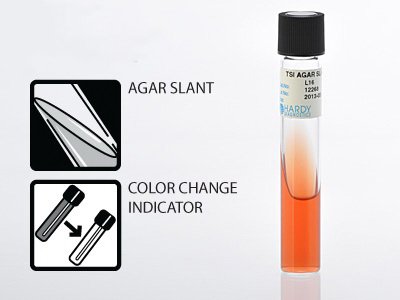 Picture of Prepared Media Triple Sugar Iron Agar Slant Tube FormatL16