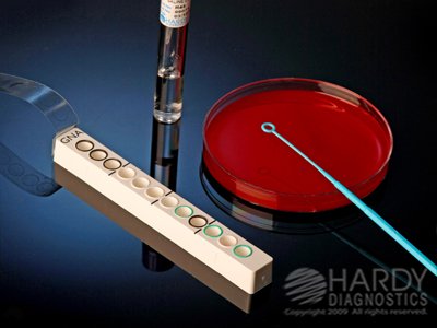 Picture of Test Kit Microgen® Microbial Identification Gram Negative A Identification Bacteria Colony Sample 60 TestsMID64