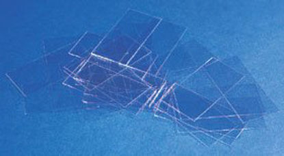 Picture of Cover Glass Rectangle No. 1 Thickness 24 X 40 mm24X40-1-001G
