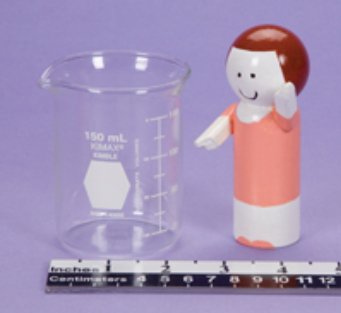 Picture of Graduated Beaker Glass 150 mL3373