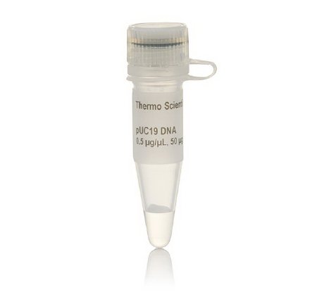 Picture of Biochemical Thermo Scientific™ PUC19 DNA 0.5 µg / µL 50 µgFERSD0061