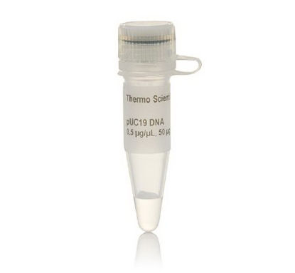 Picture of Biochemical Thermo Scientific™ PUC19 DNA 0.5 µg / µL 50 µgFERSD0061
