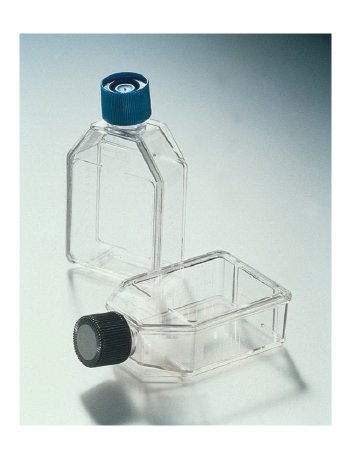 Picture of Culture Flask Falcon® Tissue Culture Polystyrene 25 mL087721F