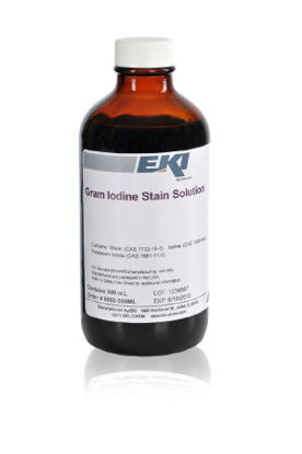Picture of Gram Iodine Stain 500 mL6050-500ML