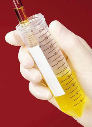 Picture of Fisherbrand™ Easy Reader® Centrifuge Tube Conical Bottom Plain 28 X 115 mm 50 mL Without Color Coding Plug Seal Cap Polyethylene Terephthalate (PET) Tube0553910