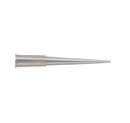 Picture of Universal Pipette Tip AccuTip® 1 to 200 µL NonSterileP5048-10