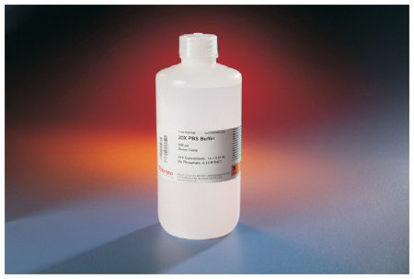 Picture of Chemistry Reagent Thermo Scientific™ Pierce™ Phosphate Buffered Saline (PBS) 20X / pH 7.5 500 mLPI28348