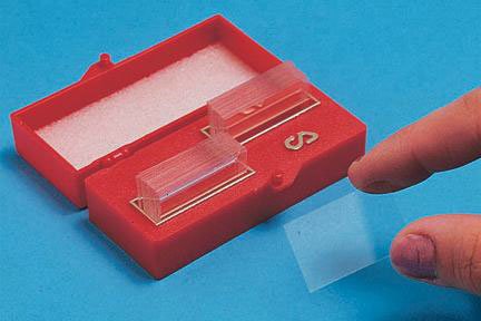 Picture of Cover Glass Gold Seal® Square No. 2 Thickness 22 X 22 mm22X22-2-002G