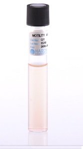 Picture of Prepared Media Motility with Tetrazolium Growth Indicator Tube FormatQ11