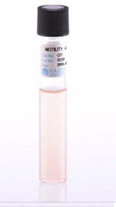 Picture of Prepared Media Motility with Tetrazolium Growth Indicator Tube FormatQ11