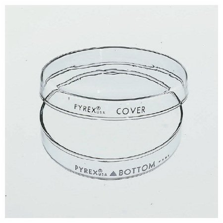 Picture of Petri Dish Pyrex™ Borosilicate Glass08747D