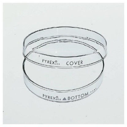 Picture of Petri Dish Pyrex™ Borosilicate Glass08747D