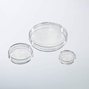Picture of Petri Dish Nunc® IVF Polystyrene12566352