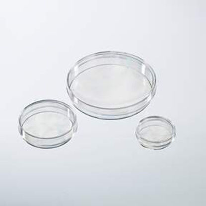 Picture of Petri Dish Nunc® IVF Polystyrene12566352