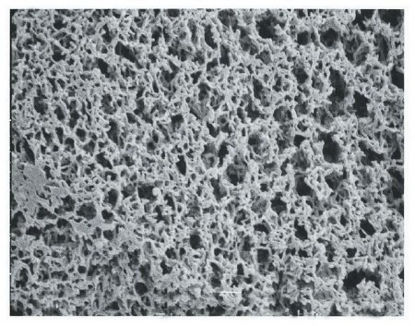 Picture of Membrane Filter 47 mm OD, 5 µm Pore Size, 5 psi Bubble Point, 34 Liter/min./cm sq. Gas Flow Rate, 360 mL/min./cm sq. Liquid Flow Rate, Hydrophilic, Autoclavable, Plain White MembraneR50SP04700